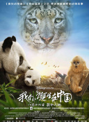 午夜dj在線手機觀看觀看hd高清