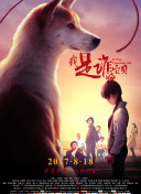 年輕的小痍子3免費觀看hd高清